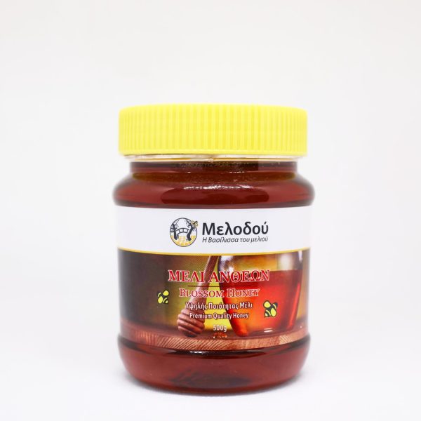 Melodou blossom honey 500g plastic container, front